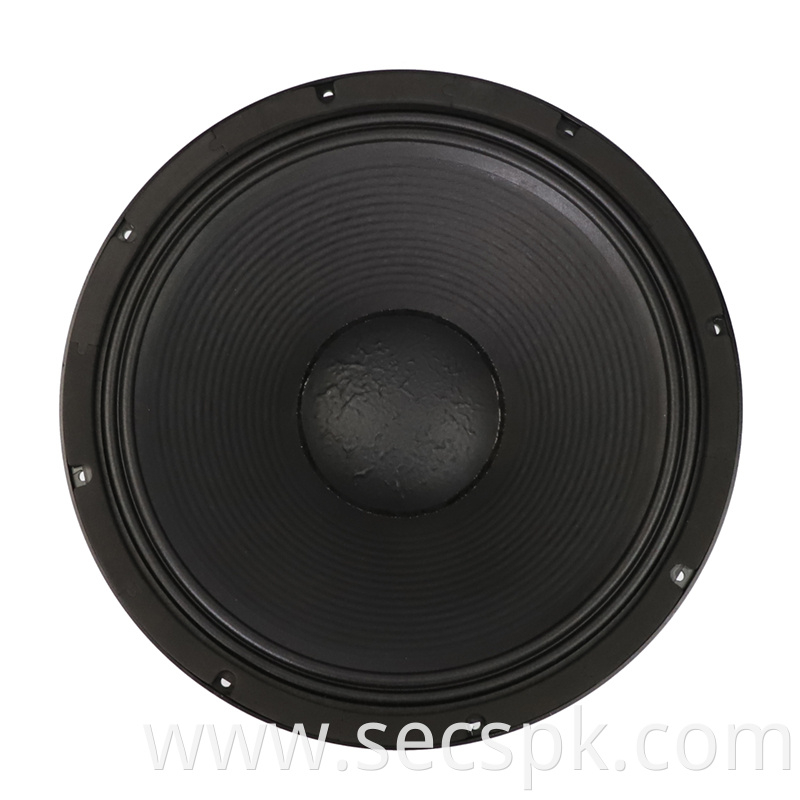 18inch Party Stage Concert Opera Speaker